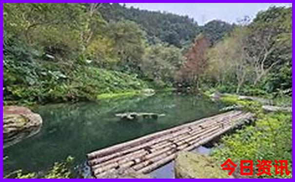 昆明西双版纳旅游景点攻略自由行